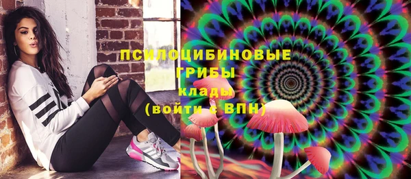 шишки Армянск
