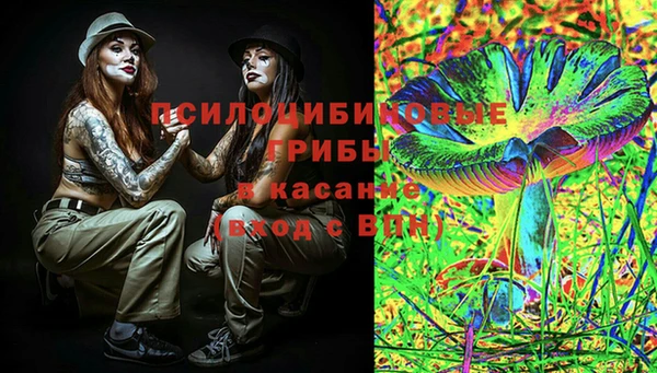 прущая мука Арсеньев