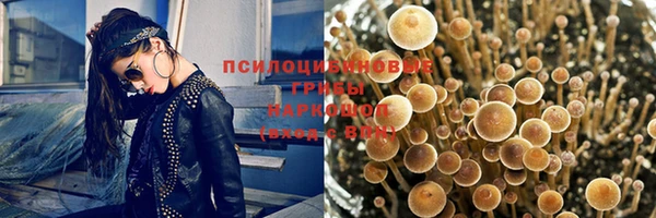 ECSTASY Аркадак